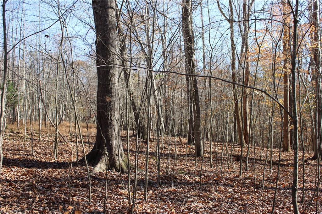 1662 Ralph Joyce Road Property Photo 29