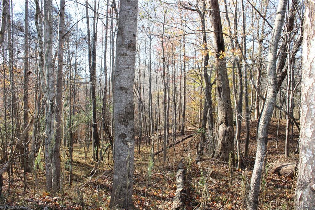 1662 Ralph Joyce Road Property Photo 30