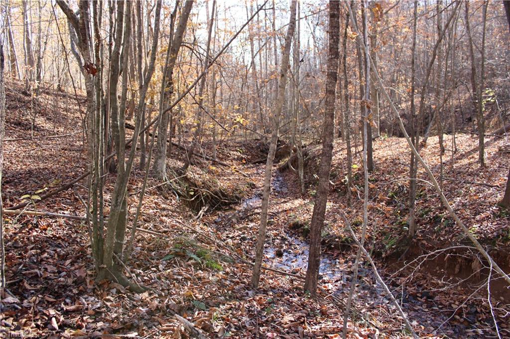 1662 Ralph Joyce Road Property Photo 32