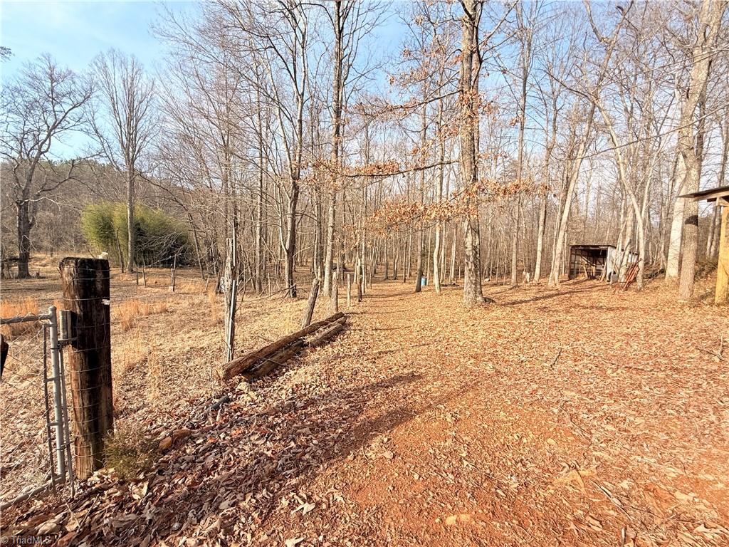 1259 Frank Joyce Road Property Photo 39