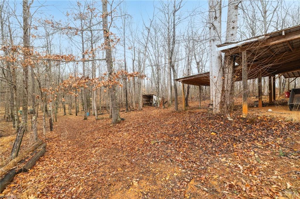 1259 Frank Joyce Road Property Photo 42