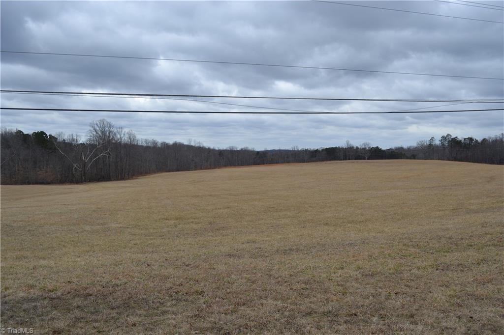 41 Acres Nc Highway 770 Property Photo 1