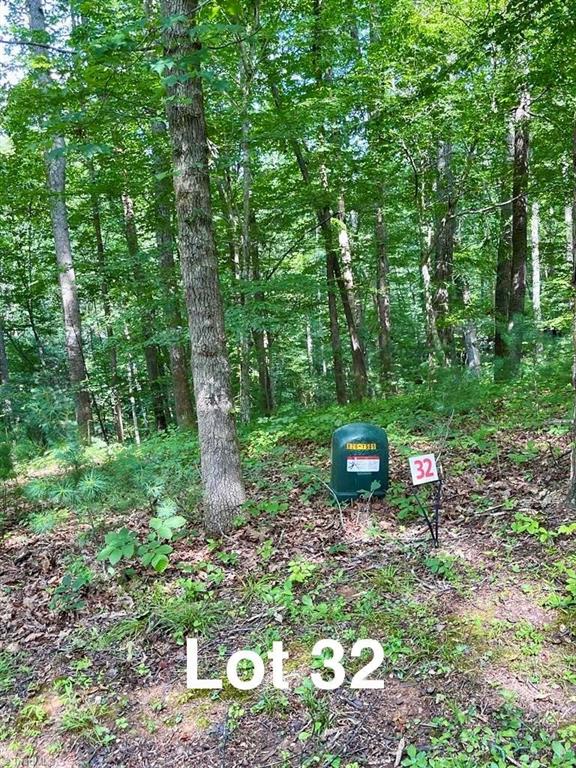Lot 32 Reserve Stuart Trail Property Photo 1