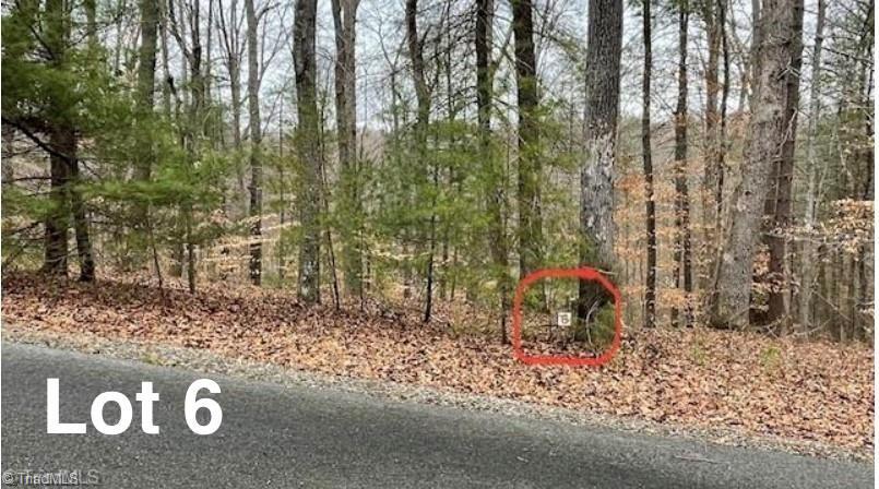 Lot 6 Woods Haven Lane Property Photo 1