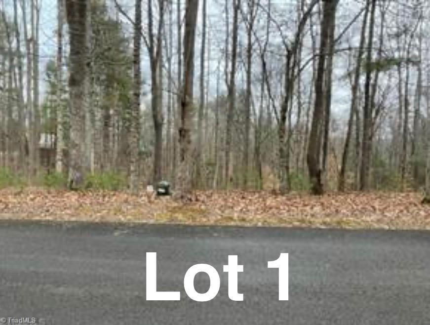 Lot 1 Reserve Trail Property Photo 1