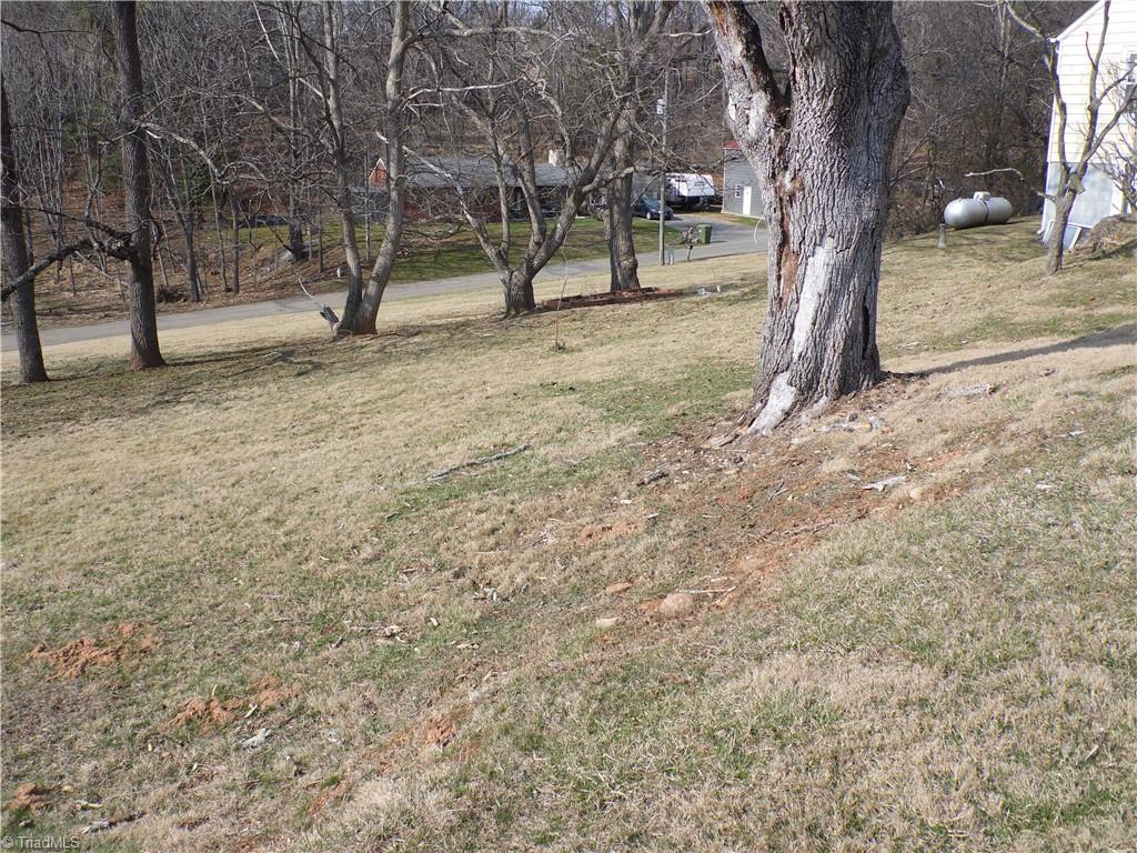 232 Riverview Drive Property Photo 42