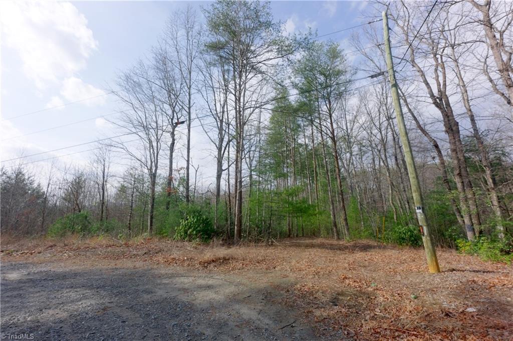0 Lisa Lane Property Photo 13