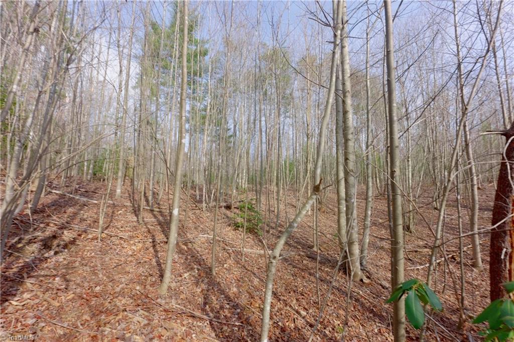 0 Lisa Lane Property Photo 18
