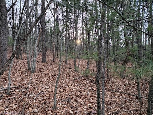Tbd Sutters Ridge Road Property Photo 1