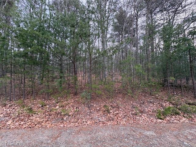 Tbd Sutters Ridge Road Property Photo 4