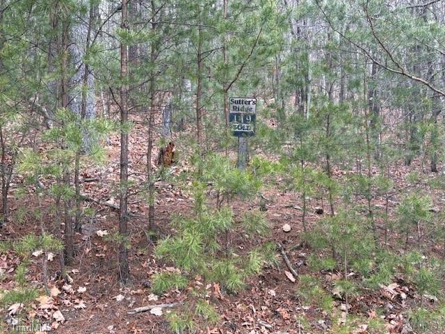 Tbd Sutters Ridge Road Property Photo 5