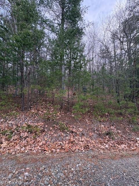 Tbd Sutters Ridge Road Property Photo 6