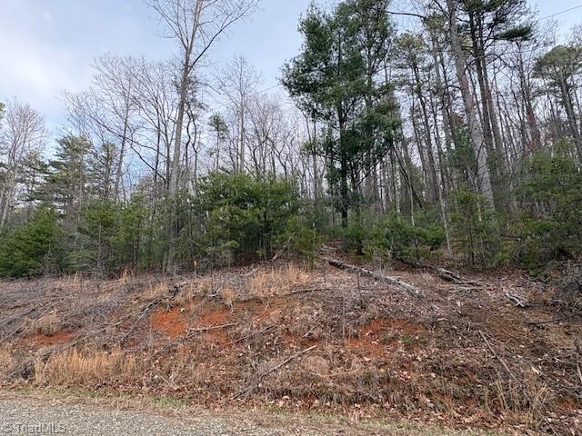 Tbd Sutters Ridge Road Property Photo 7