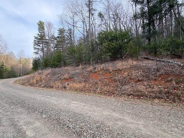 Tbd Sutters Ridge Road Property Photo 8
