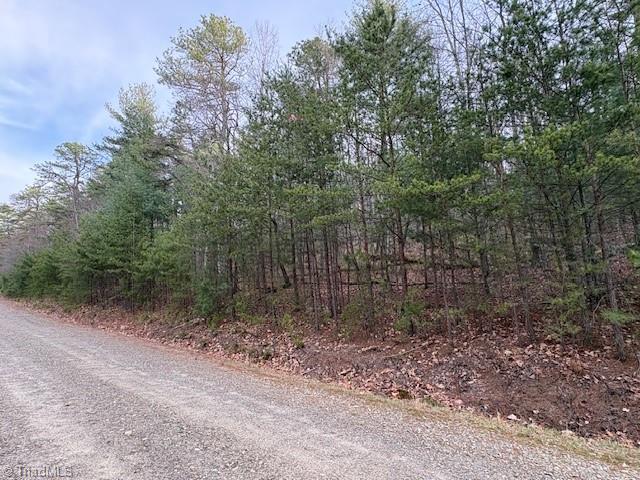 Tbd Sutters Ridge Road Property Photo 9