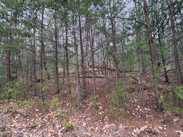 Tbd Sutters Ridge Road Property Photo 11