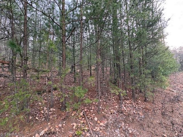 Tbd Sutters Ridge Road Property Photo 12
