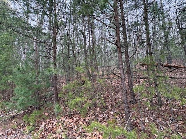 Tbd Sutters Ridge Road Property Photo 13