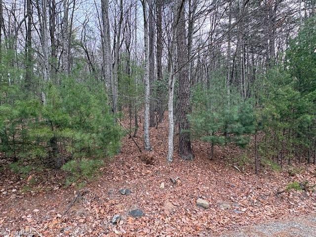 Tbd Sutters Ridge Road Property Photo 14