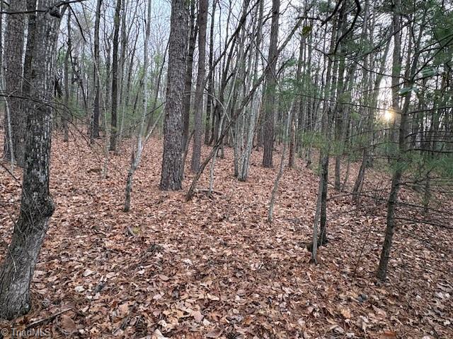 Tbd Sutters Ridge Road Property Photo 15
