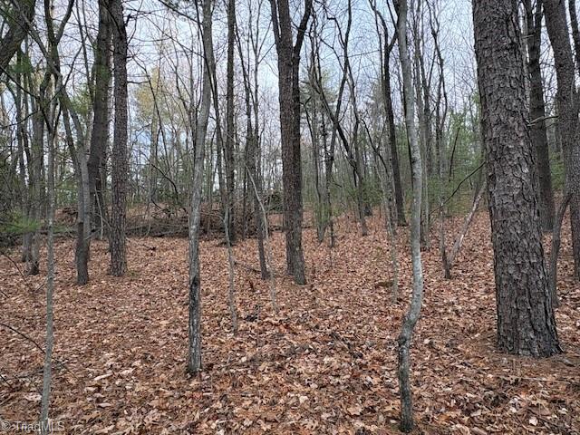 Tbd Sutters Ridge Road Property Photo 16