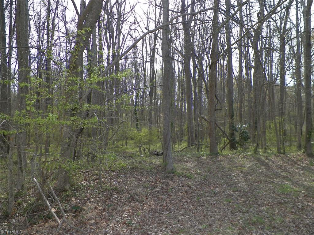 516 Widaustin Drive Property Photo 2