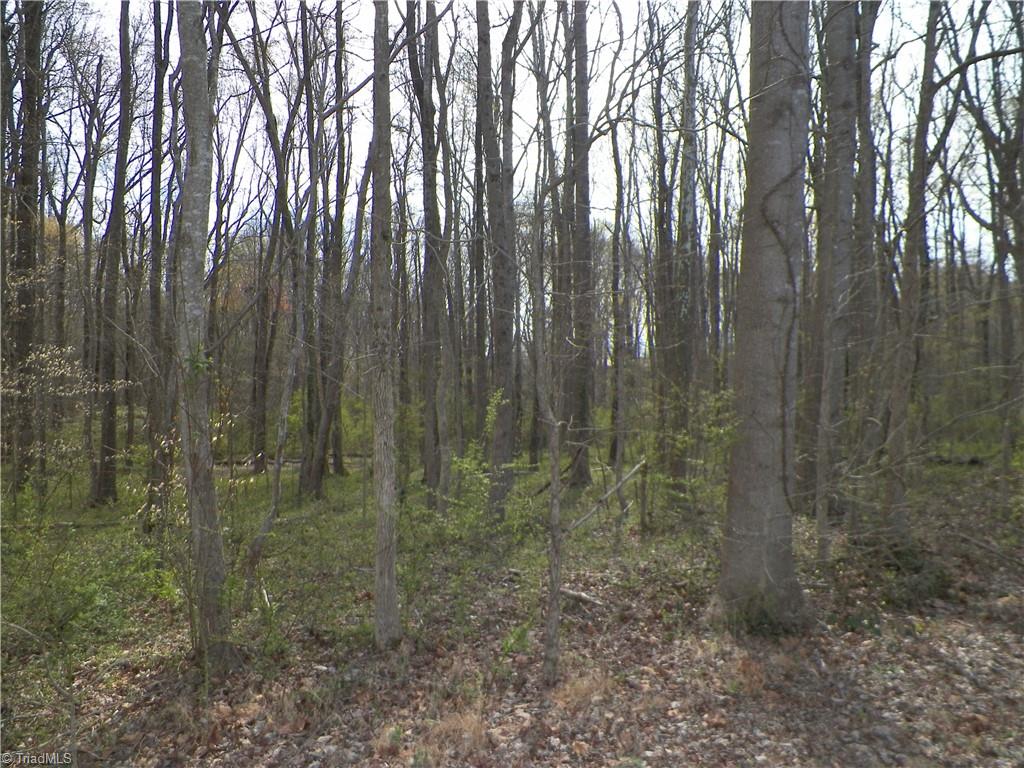 516 Widaustin Drive Property Photo 3