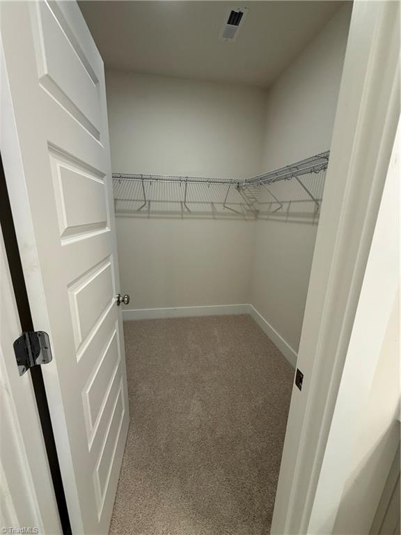 4224 Motisheri Cove Property Photo 8