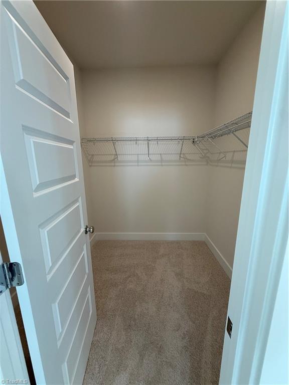 4224 Motisheri Cove Property Photo 14