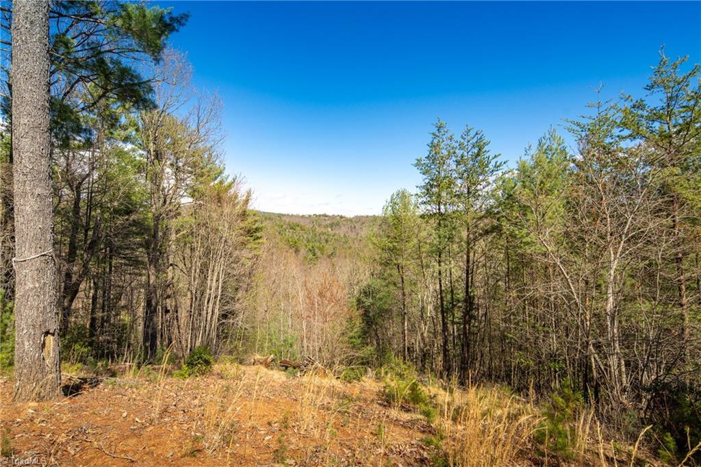 128 Deer Antler Drive Property Photo 37