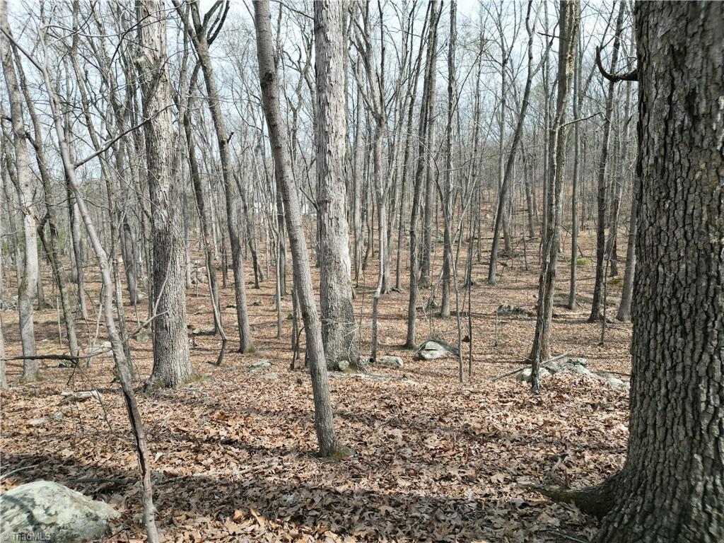 367 Rocky Cove Lane Property Photo 9