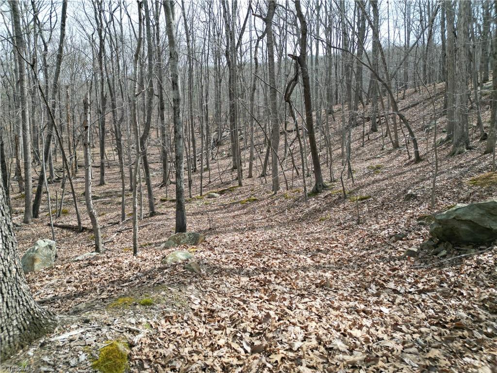 367 Rocky Cove Lane Property Photo 11