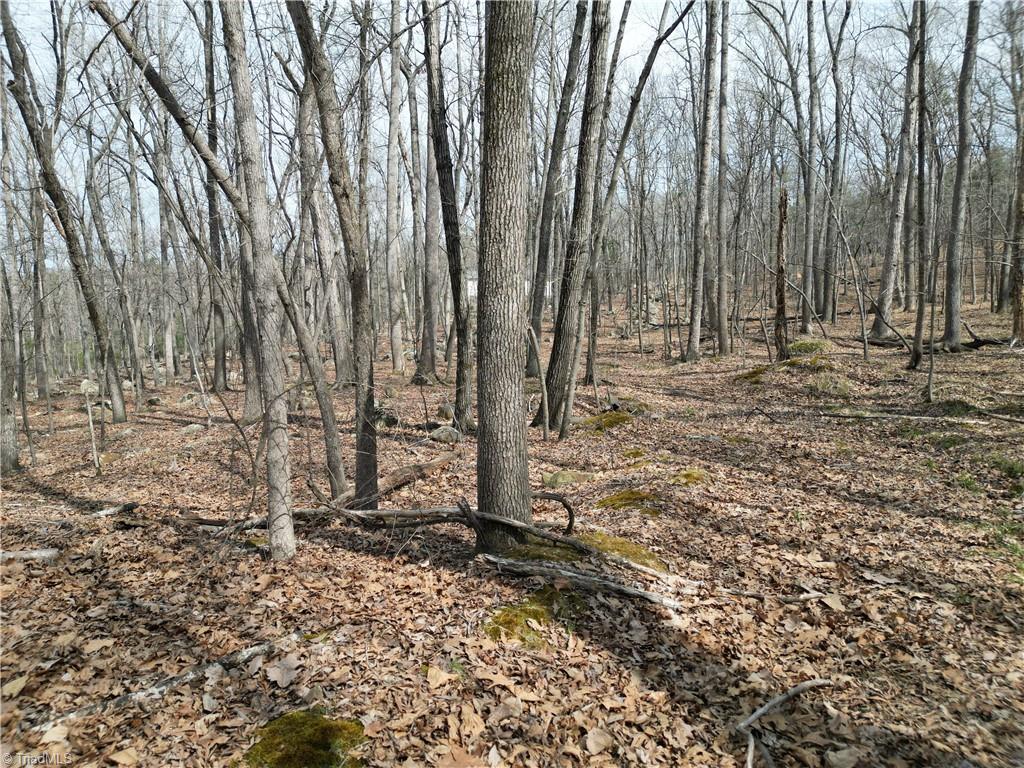 367 Rocky Cove Lane Property Photo 13