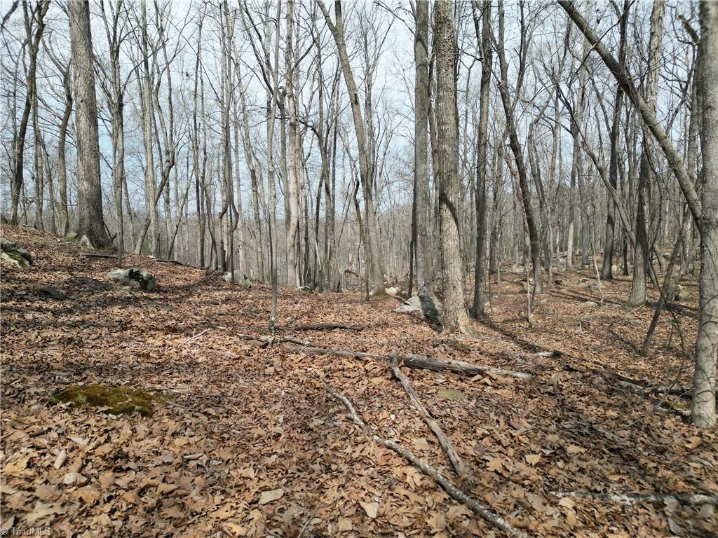 367 Rocky Cove Lane Property Photo 14