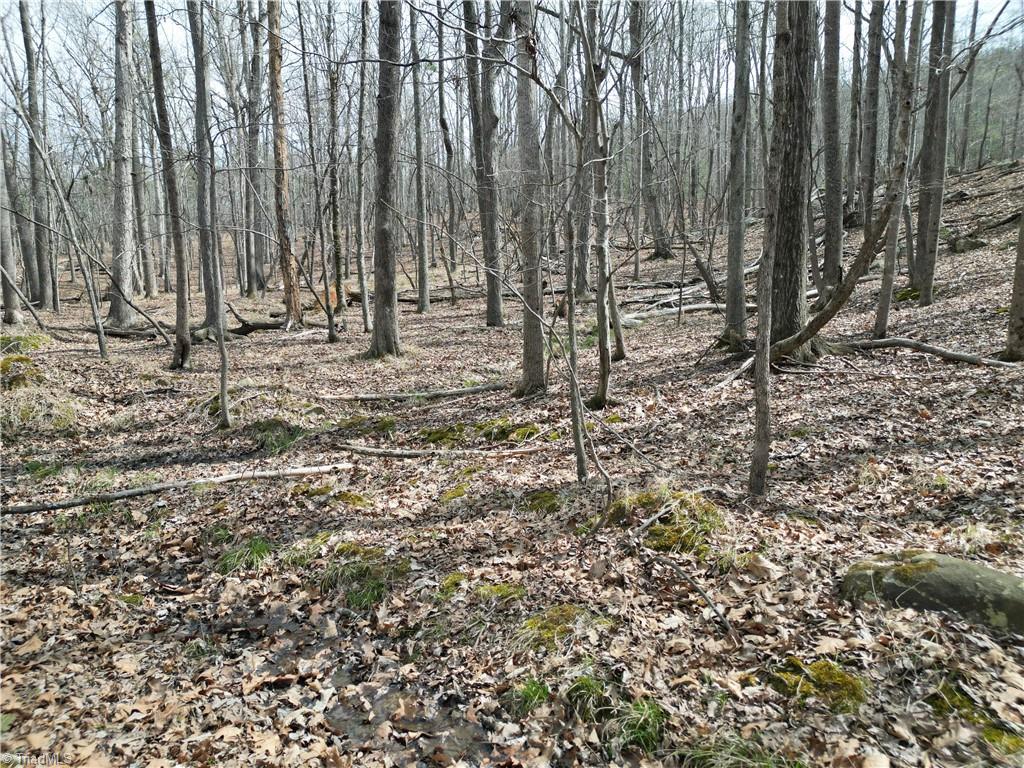 367 Rocky Cove Lane Property Photo 15