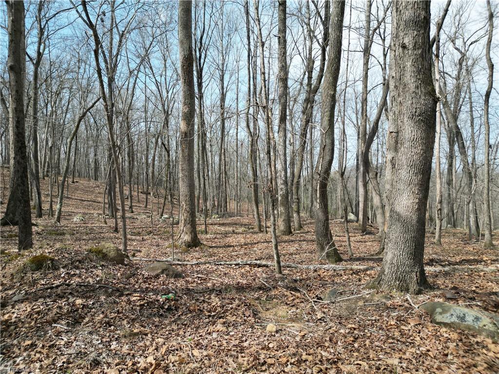 367 Rocky Cove Lane Property Photo 17