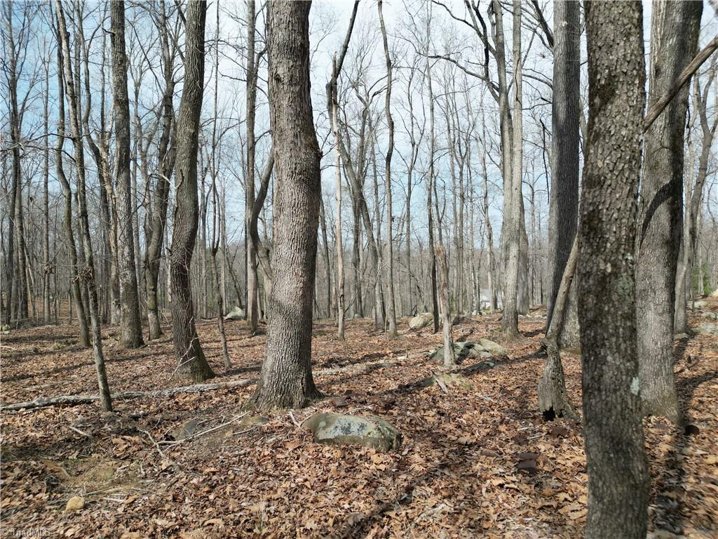 367 Rocky Cove Lane Property Photo 18