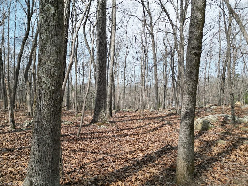367 Rocky Cove Lane Property Photo 19