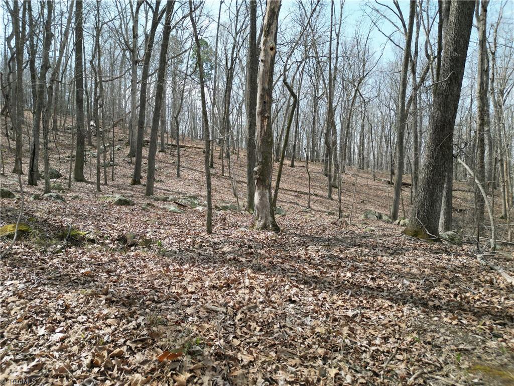 367 Rocky Cove Lane Property Photo 20