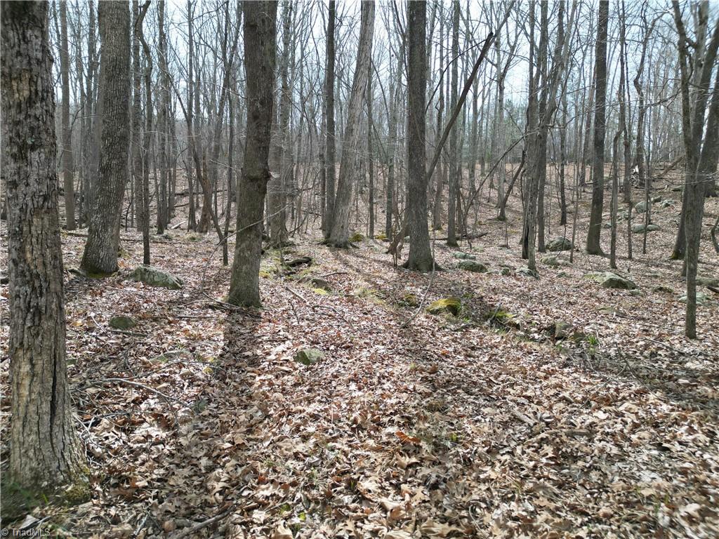 367 Rocky Cove Lane Property Photo 21