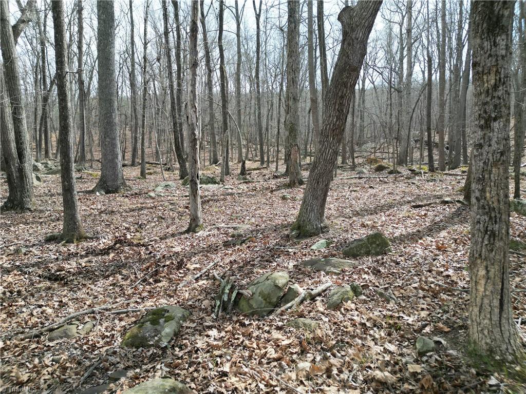 367 Rocky Cove Lane Property Photo 22