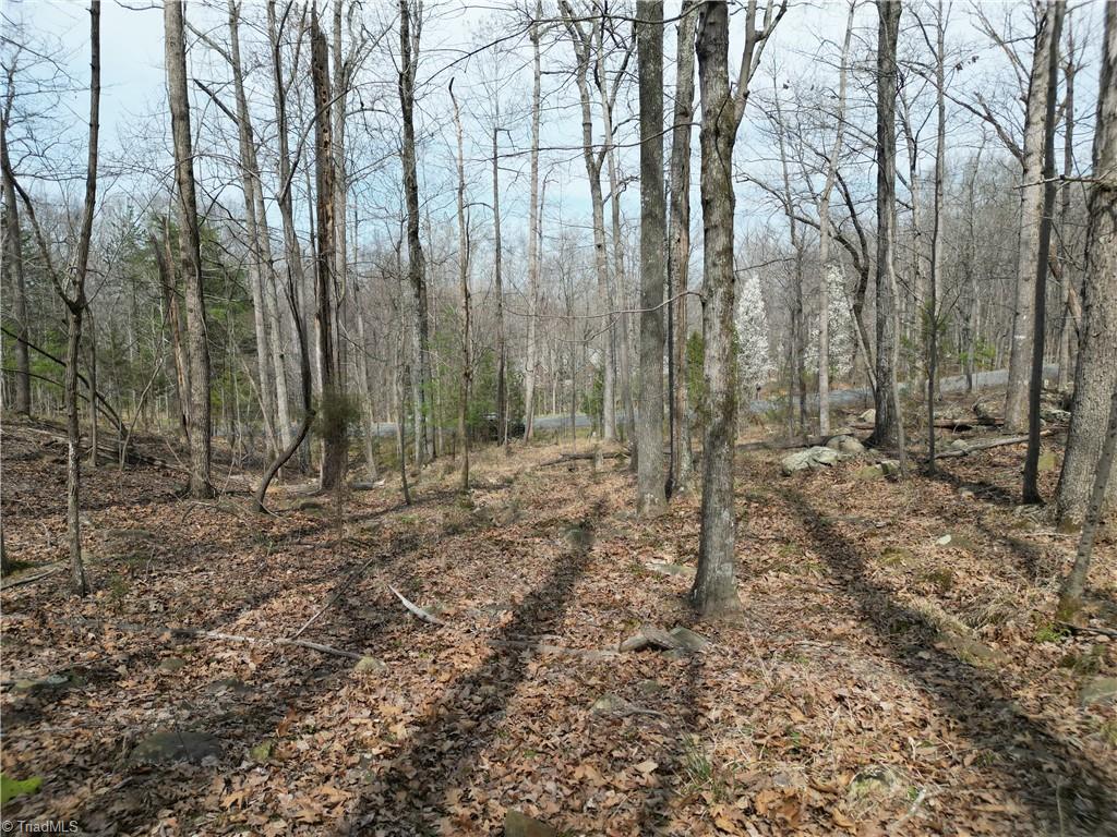 367 Rocky Cove Lane Property Photo 23