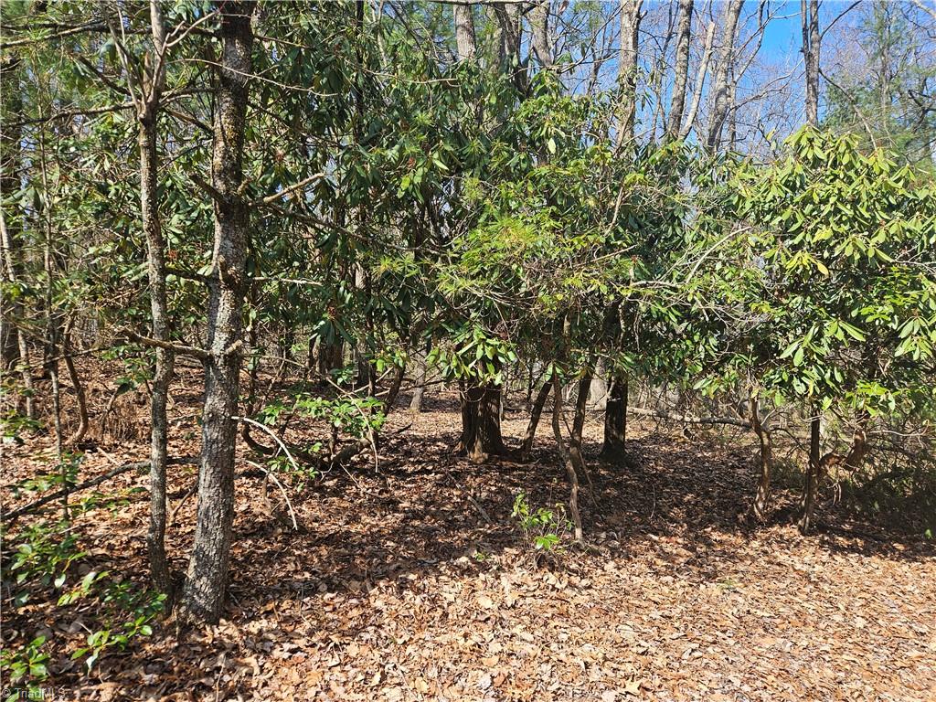 TBD Mt. Retreat Road