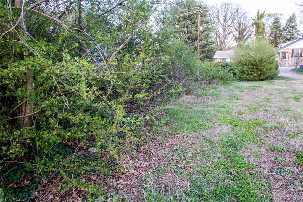 0 N Cameron Avenue Property Photo 3