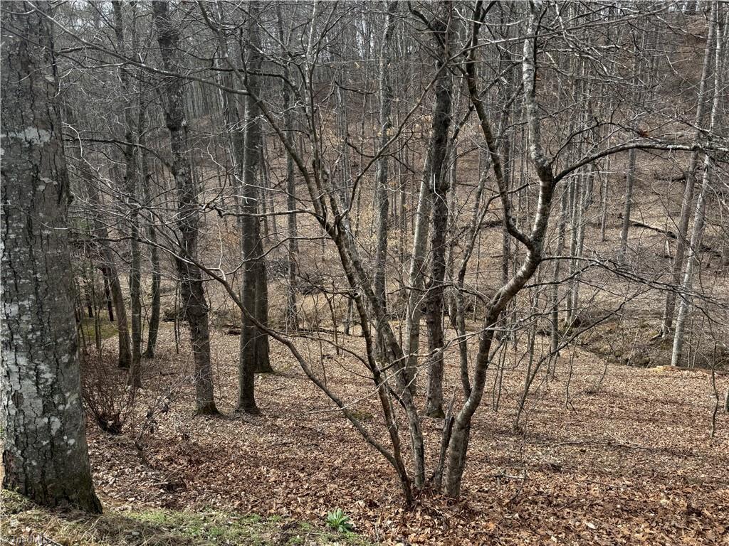 45 Happy Ridge Road Property Photo 11