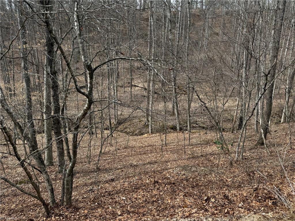 45 Happy Ridge Road Property Photo 12