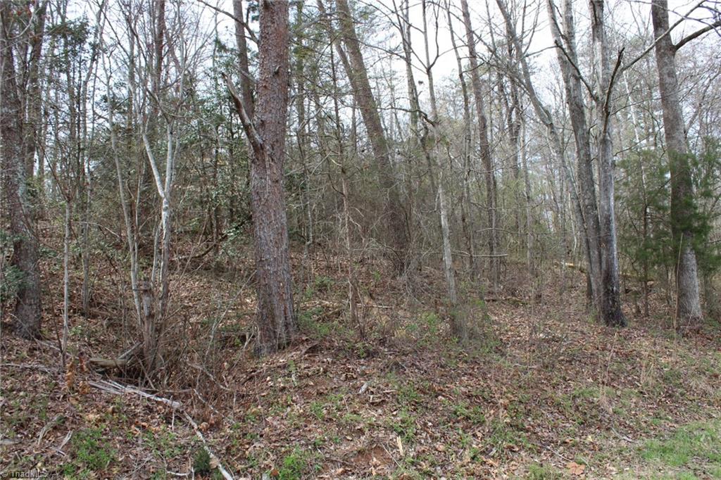 0 Vashti Road Property Photo 28