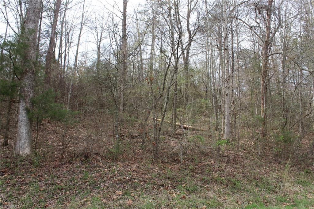0 Vashti Road Property Photo 29