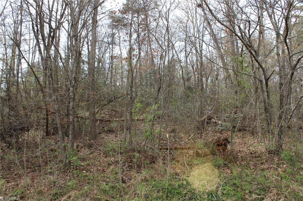 0 Vashti Road Property Photo 31