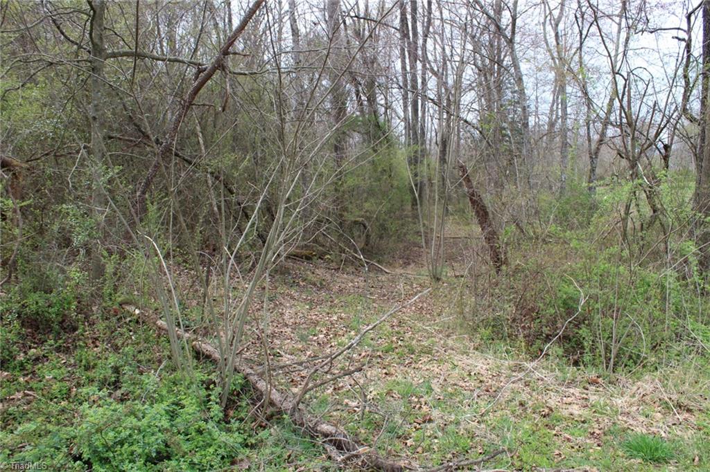 0 Vashti Road Property Photo 32